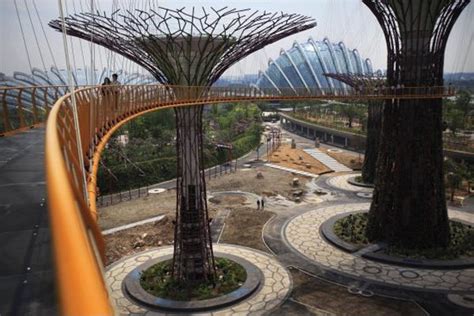 Singapore's aerial walkway through "Supertrees" with built-in solar ...