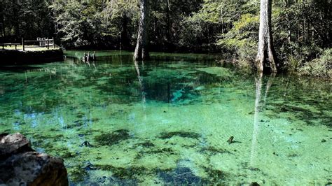 Ponce de Leon Springs Park – Northwest Florida | Warm Springs