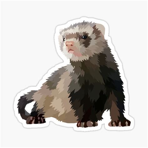 "Brown and White Ferret" Sticker for Sale by Casey121406 | Redbubble