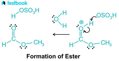 Esterification: Learn Definition, Mechanism, Methods and Uses