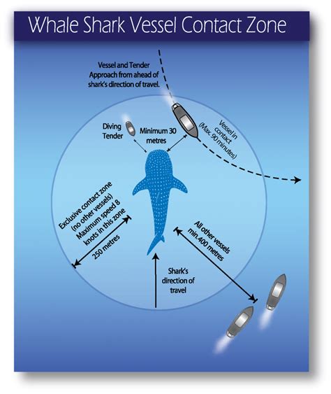 Fact Sheet: Whale Shark • Department of Primary Industries and Regional ...