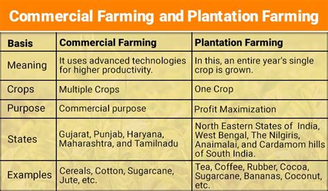 What is Plantation Agriculture - Crops & Characteristics