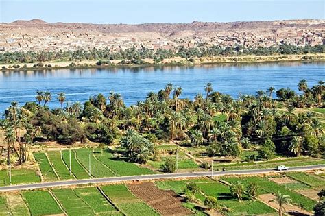 1,300+ Nile River Agriculture Stock Photos, Pictures & Royalty-Free ...