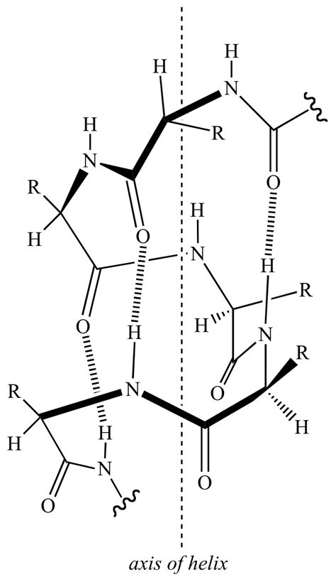 Illustrated Glossary of Organic Chemistry - Alpha-helix