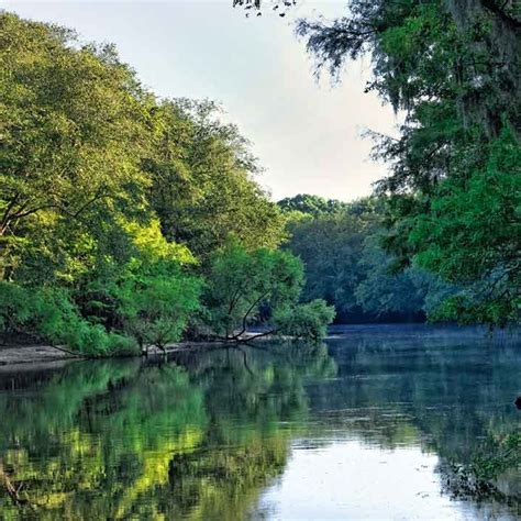 Edisto River | American Rivers