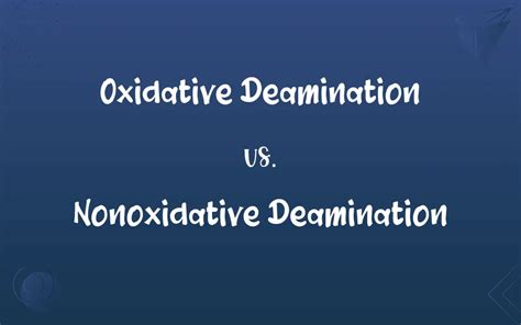 Oxidative Deamination vs. Nonoxidative Deamination: What’s the Difference?