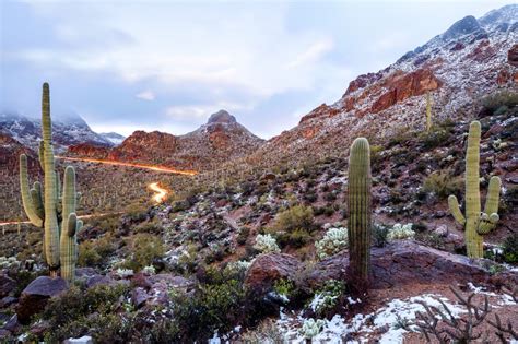 Sonoran Desert National Monument