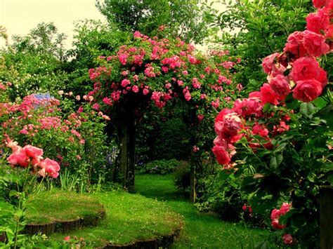 Rose Garden Wallpapers - Wallpaper Cave