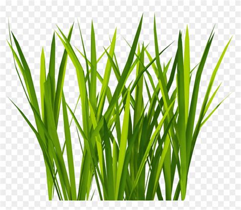 New Textures Billboard Grass - Grass For Unity - Free Transparent PNG ...