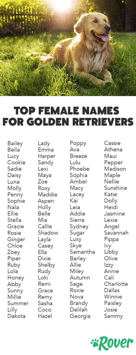 We've rounded up the top female names for Goldens and Golden Retriever ...