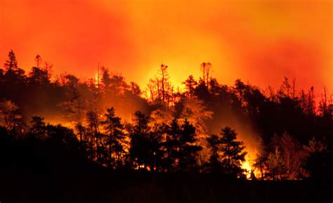 Feux de forêts : les leçons de Fort McMurray - Portail de l’assurance