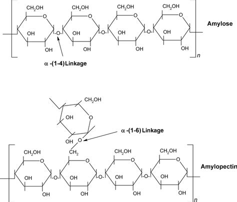 1 Chemical structure of starch with amylose and amylopectin units ...