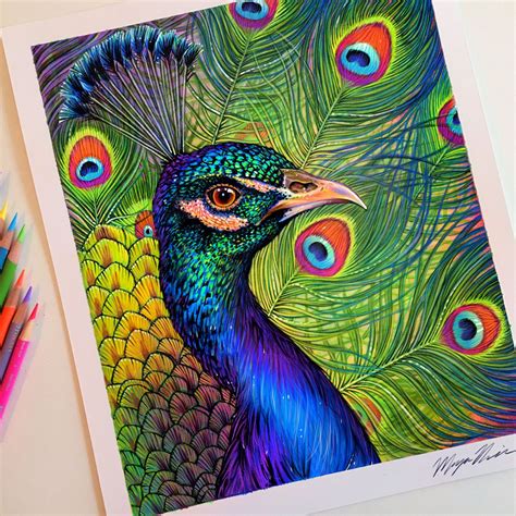 Get Pencil Painting Of Peacock Images