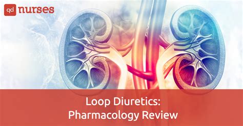 Loop Diuretics: Pharmacology Review - QD Nurses