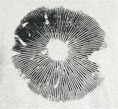 Magic Mushroom t shirt - Spore Print Ringer Tee | Closet of Mysteries ...