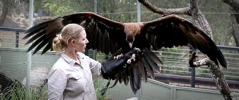 Ipswich Nature Centre one of Queensland’s best experiences - Ipswich First