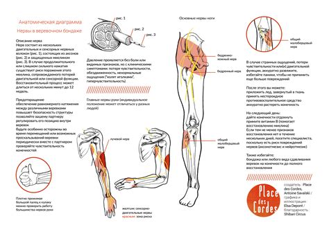 Nerve damage prevention