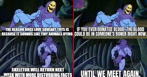 Skeletor Facts Memes Are Unsettling, But Funny (22 Memes)