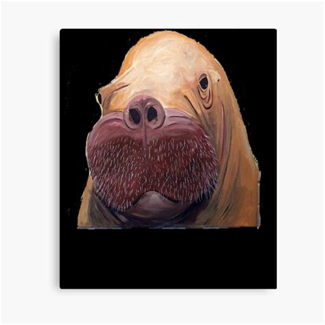 "Walrus - Funny Walrus Shirt - Walrus Painting - Walrus Lovers - Walrus ...