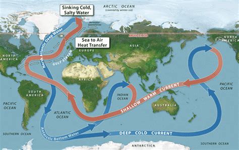 Which ocean surface currents are relevant to skippers in the Global ...