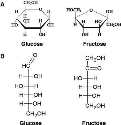 Monosaccharides (Glucose and Fructose) - W3schools