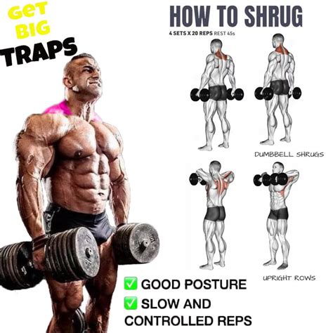 How to Do Dumbbell Shrug Proper Form, Technique | Video & Guide