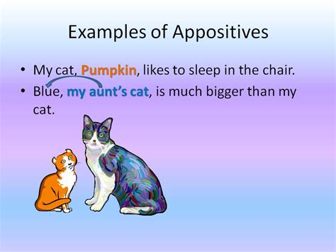 Gypsy Daughter Essays: Sentence Diagramming: Diagramming Appositives