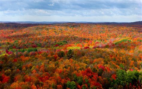 I Love Graff Durand: Where to View the Fall Colors in Michigan