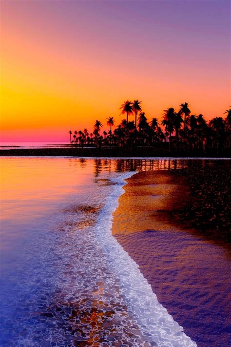 Download Wallpaper Beach, Tropics, Sea, Sand, Palm Trees, Sunset ...