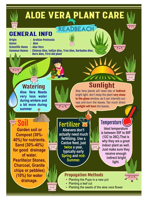 Aloe Vera Plant Care Infographic | Aloe vera plant, Aloe plant, Aloe ...