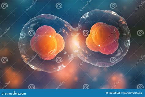 Cells Under a Microscope. Cell Division Stock Illustration ...