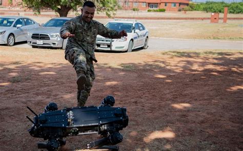 Hi-tech working ‘dogs’ make robotic paw prints while patrolling Air ...