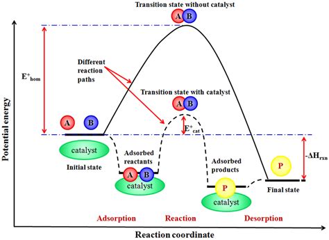 Potential Energy Diagram Labeled