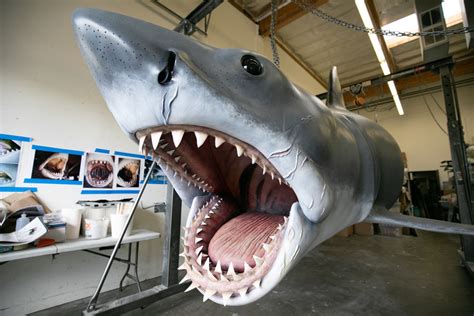 'Jaws' Shark Gets His Bite Back: A Love Story | WBUR