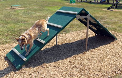 King of the Hill | Dog Park Equipment | American Parks Company