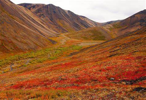 Tundra - Lake Clark National Park & Preserve (U.S. National Park Service)