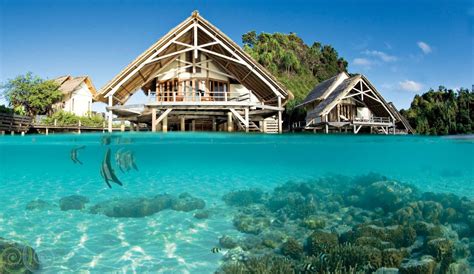 Rajaempat, West Papua. | Dive resort, Overwater bungalows, Eco hotel