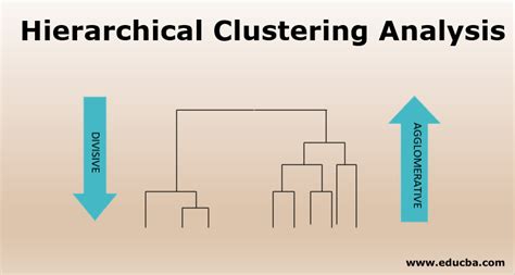 Hierarchical Clustering Analysis | Different Types of Hierarchical ...