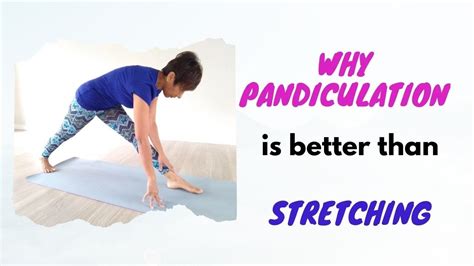 Pandiculation|The difference between a stretch and pandiculation. A ...