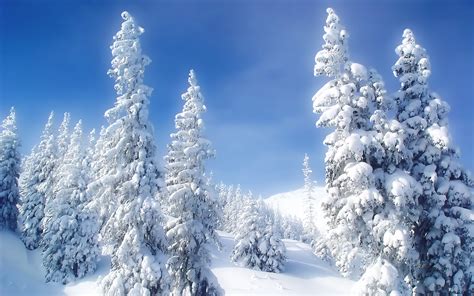 Winter Wallpapers HD: Winter Wallpapers HD