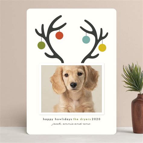 Pet Lover Holiday Photo Cards | Dog & Cat Christmas Cards ...