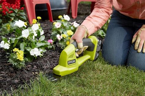 Which Cordless Grass Shears Are The Best?