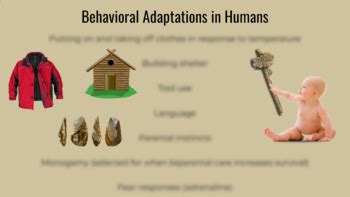 Human Adaptations to Environments Slides by The PBL Science Spot