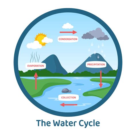 10 Water Cycle Earth Illustration - MasterBundles