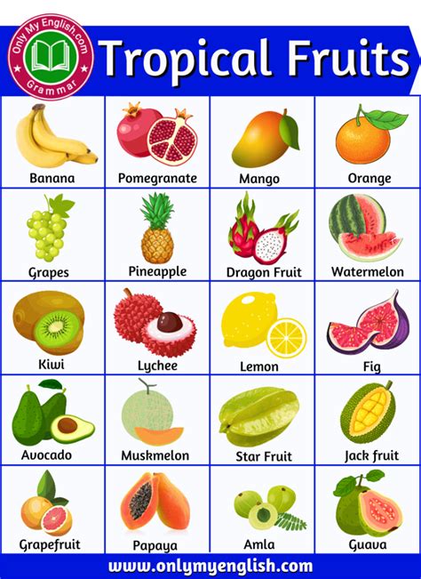 Tropical Fruits Names | 40+ List with Pictures