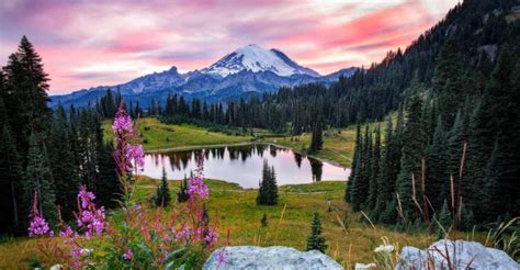 Chinook Pass Scenic Byway