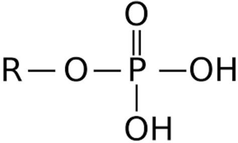 Synthesis And Properties Of A Phosphate Ester As Curing