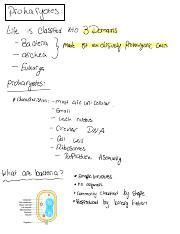 Understanding Prokaryotes: Classification, Characteristics, and ...