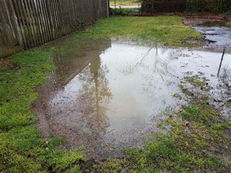 Backyard Drainage & Flooding Solutions | Island Sewers