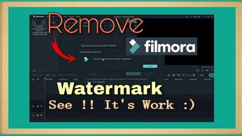 Filmora x watermark remover - pastorbutler